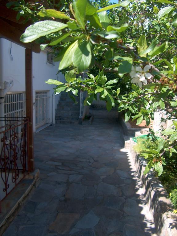 Athenian Spiti Βίλα Αρτέμιδα Δωμάτιο φωτογραφία